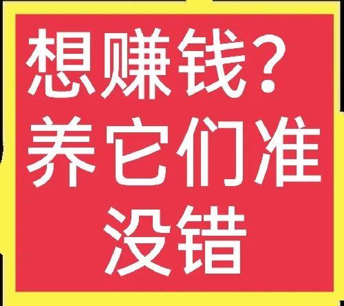 農(nóng)村適合養(yǎng)殖什么項(xiàng)目賺錢，農(nóng)村適合養(yǎng)殖什么項(xiàng)目賺錢多？