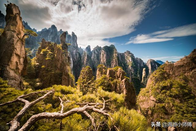 長江三角洲地圖簡圖（長江三角洲地圖全圖高清版）