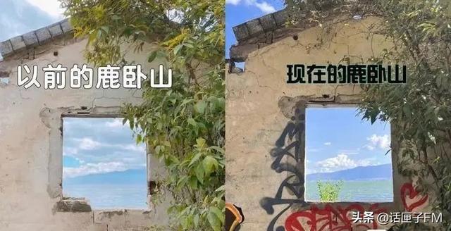 小紅書申請解封理由怎么寫，小紅書解封申訴內(nèi)容怎么寫？