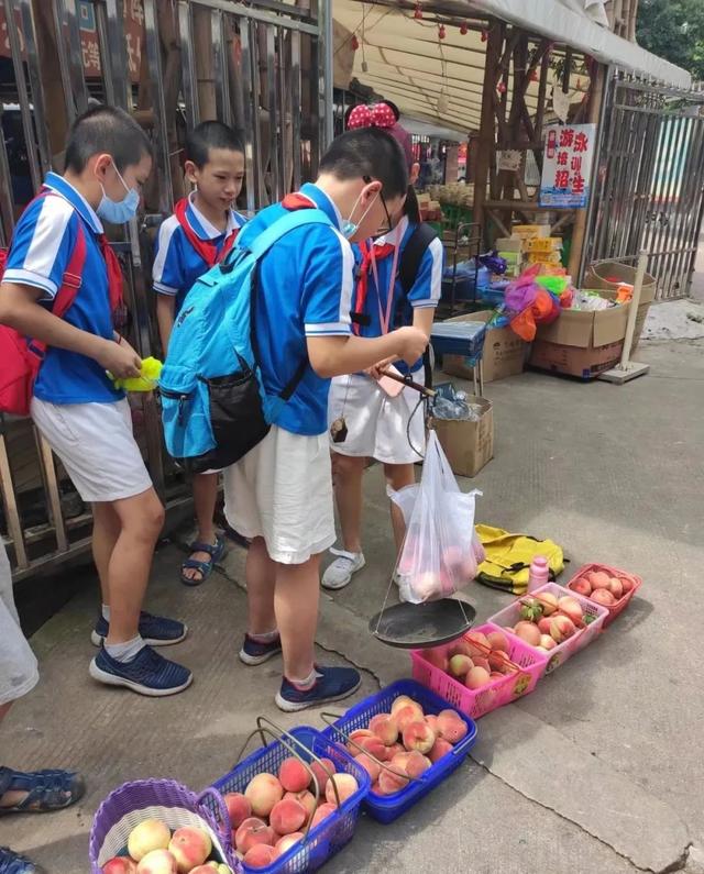 桃子直播視頻免費(fèi)觀看在線，桃子直播視頻免費(fèi)觀看在線播放？