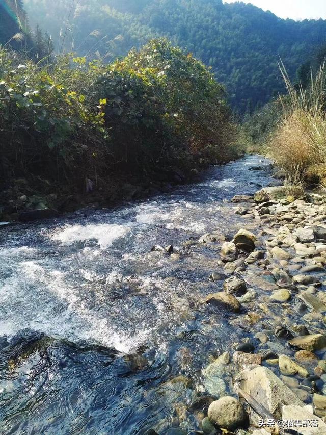 釣魚(yú)發(fā)朋友圈寫(xiě)什么搞笑話，適合朋友圈釣魚(yú)的搞笑說(shuō)說(shuō)？