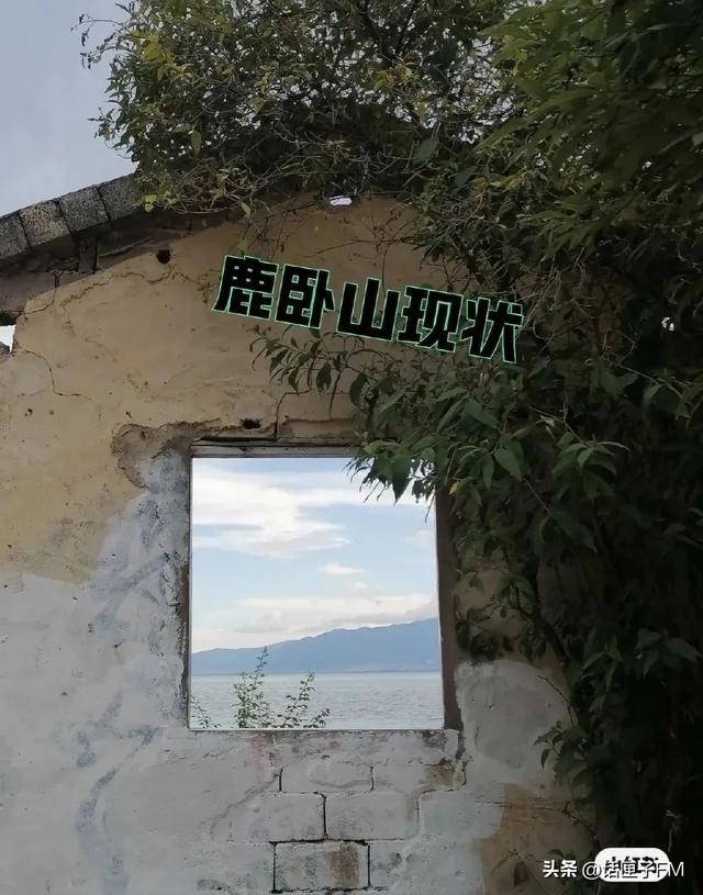 小紅書申請解封理由怎么寫，小紅書解封申訴內(nèi)容怎么寫？