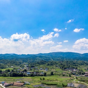 兒子幼兒園畢業(yè)照片發(fā)朋友圈說說，兒子幼兒園畢業(yè)照片發(fā)朋友圈說說搞笑？