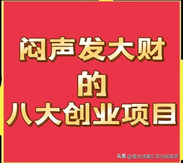 找個(gè)賺錢的項(xiàng)目，找個(gè)賺錢的項(xiàng)目叫什么？