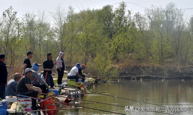 找個(gè)賺錢的項(xiàng)目，找個(gè)賺錢的項(xiàng)目叫什么？